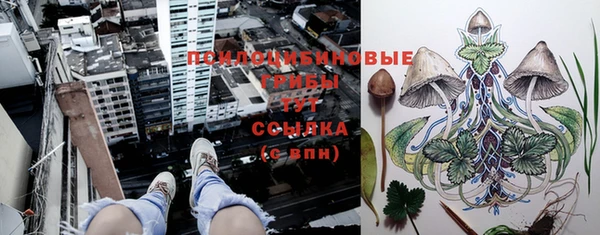 стаф Алексеевка