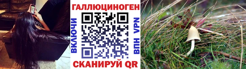 Галлюциногенные грибы мухоморы  наркота  Гвардейск 